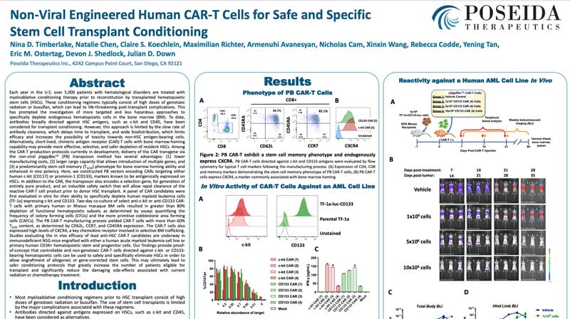 Non-Viral Engineered Human CAR-T Cells for Safe and Specific Stem Cell Transplant Conditioning - profile