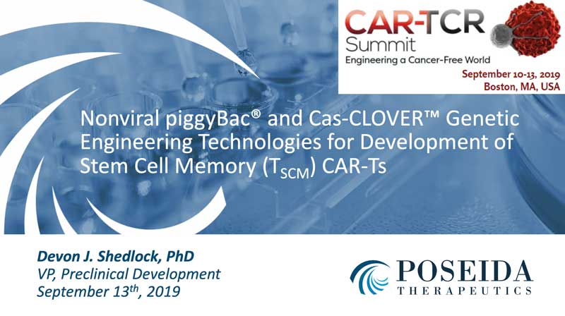 Nonviral piggyBac® and Cas-CLOVER™ Genetic Engineering Technologies for Development of Stem Cell Memory (Tscm) CAR-Ts - profile