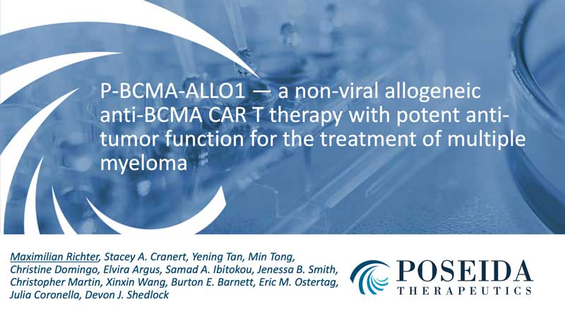P-BCMA-ALLo1: A Non-Viral Allogeneic anti-BCMA CAR-T Therapy With Potent Anti-Tumor Function for the Treatment of Multiple Myeloma - profile