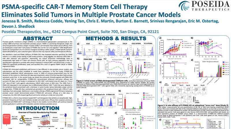 PSMA-specific CAR-T Memory Stem Cell Therapy Eliminates Solid Tumors in Multiple Prostate Cancer Models - profile