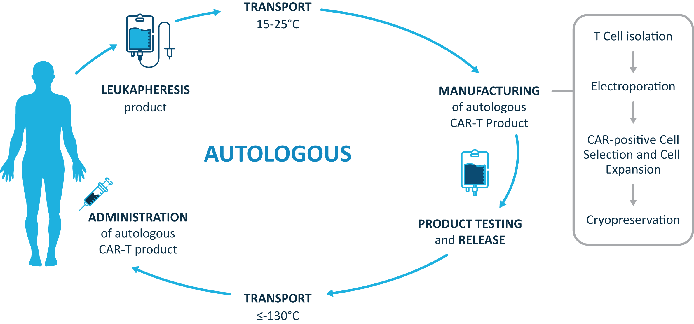 AUTOLOGOUS Cycle