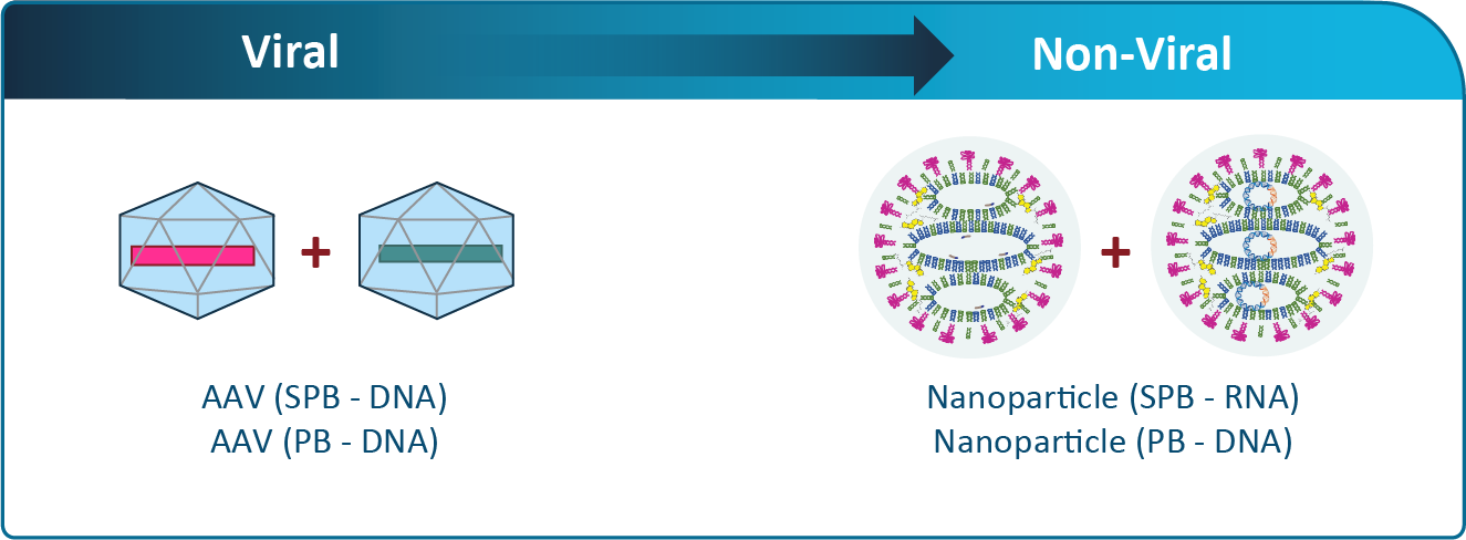 Gene Delivery Technology Platforms