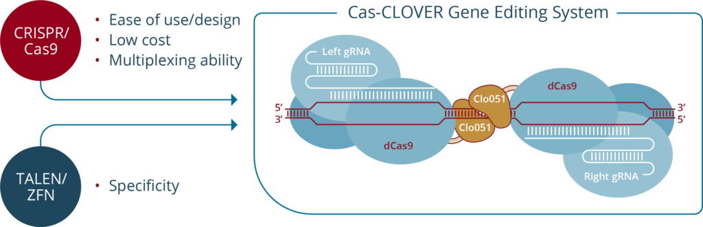 Cas-CLOVER Gene Editing System