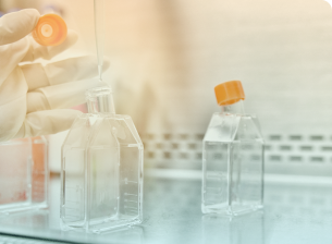 A close image of a gloved hand holding an orange cap to a cell culture flask. The flask stands upright with a pipette poised above the opening.
