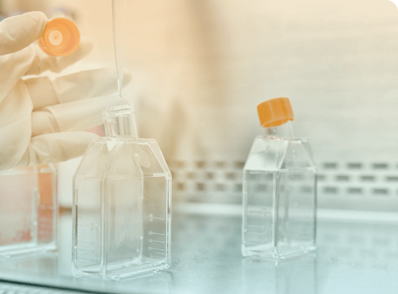 A close image of a gloved hand holding an orange cap to a cell culture flask. The flask stands upright with a pipette poised above the opening.